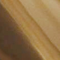 Gun